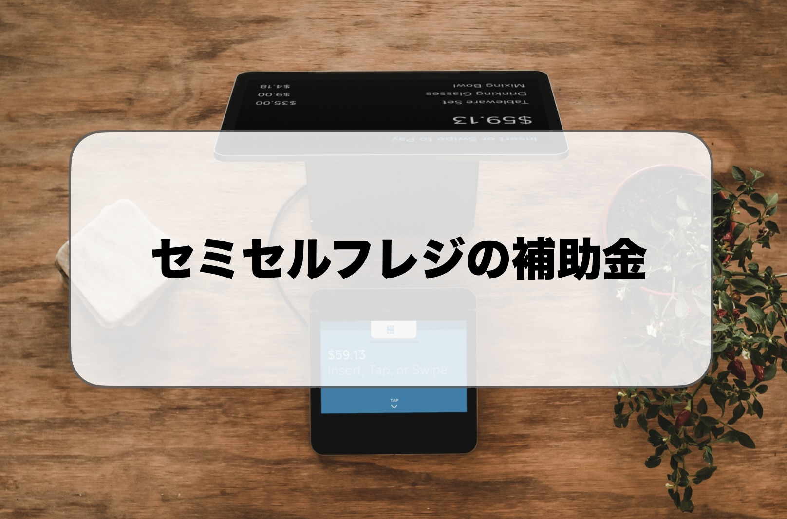セミセルフレジの補助金